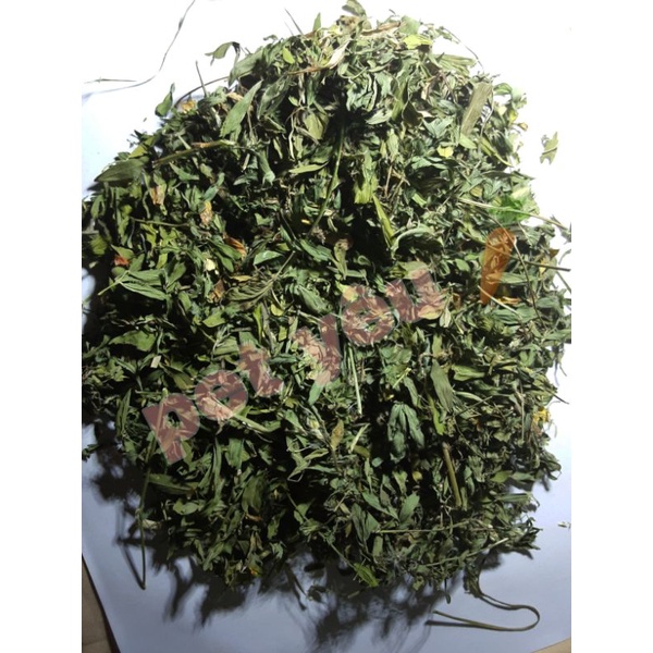 Lá cỏ khô alfala FREESHIP siêu thơm nguyên lá thức ăn thỏ bọ chinchilla