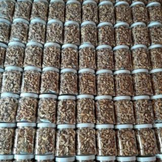 1KG HẠT  RANG MUỐI (  Loại bể