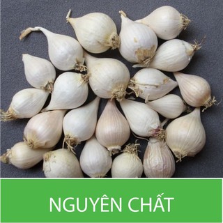 Dầu Tỏi Bạch Dương