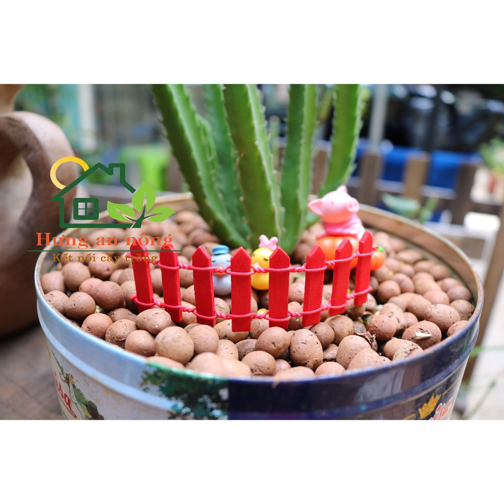 TT000 - Rào gỗ nhiều màu trang trí tiểu cảnh size 10cm.