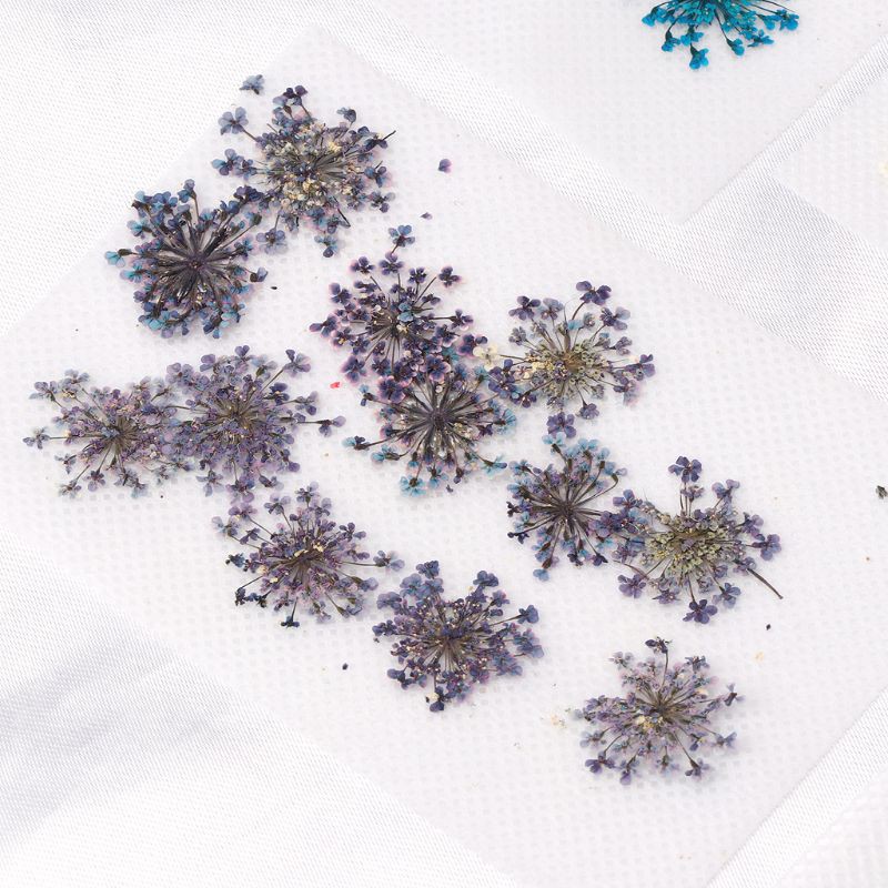 Set 12 Hoa Khô Trang Trí