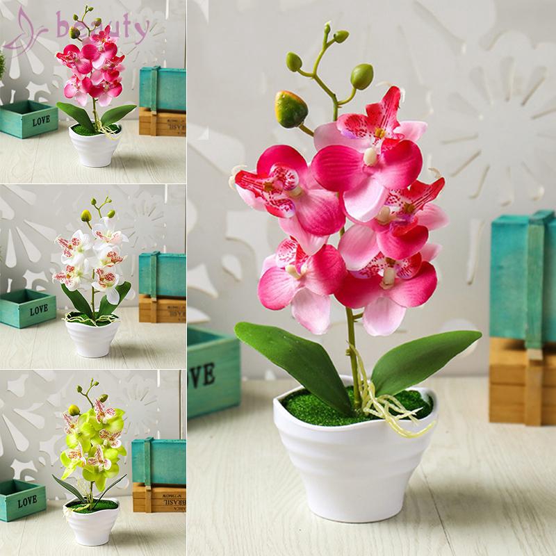 Chậy cây lan hồ điệp bonsai nhân tạo với 5 đầu hoa nhựa trang trí vườn nhà
