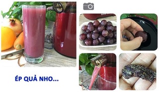 Máy ép trái cây SAVTM JE-07