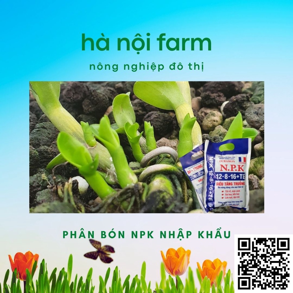 Phân bón NPK nhập khẩu 12-8-16+TE, Siêu Tăn Trưởng, Phân bón vi lượng. Gói 500g