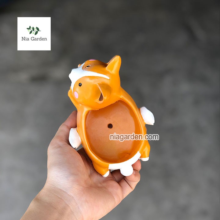 Chậu chó Corgi thiên thần trồng xương rồng, cây để bàn Nia Garden N4