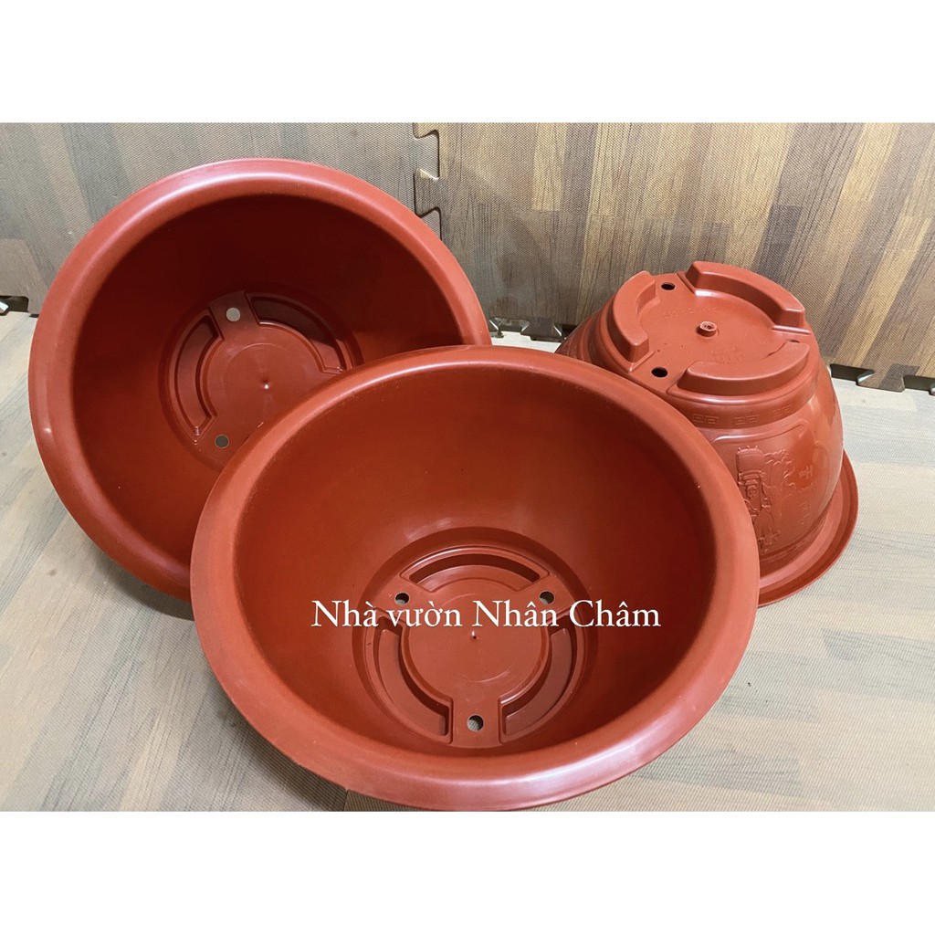 Chậu nhựa tròn T28 đỏ size bé dùng trồng hoa,cây cảnh các loại,trang trí nhà cửa