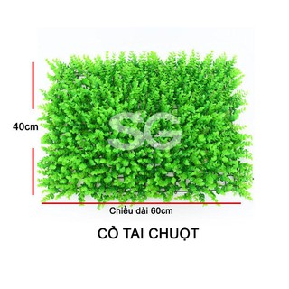 Vỉ Cỏ tai chuột, Tấm cỏ nhựa tai chuột đẹp giá rẻ | Cỏ nhân tạo SG