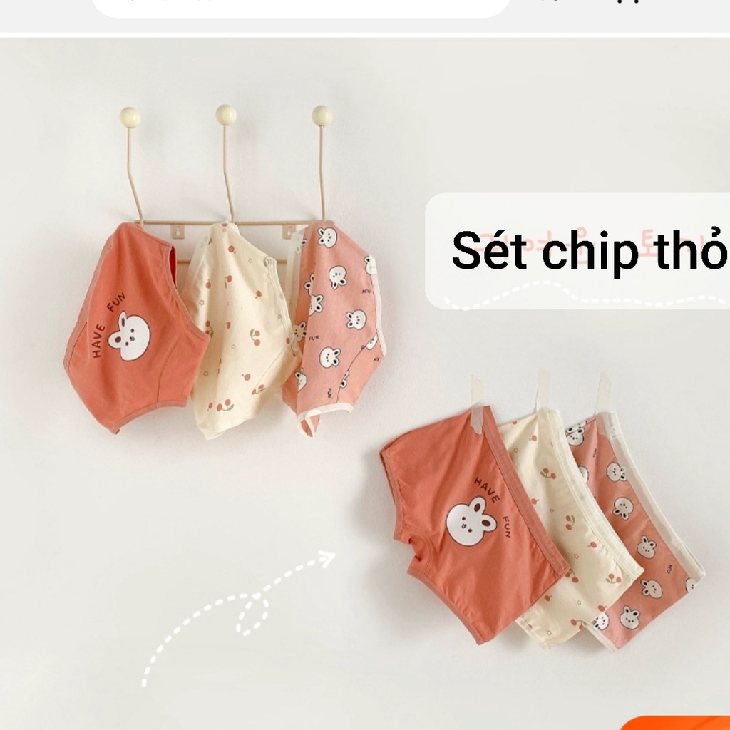 Quần chip cho bé gái sét 3 quần lót Thỏ Cute cực xinh xắn đáy kháng khuẩn