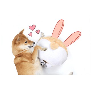 Gối mông Corgi