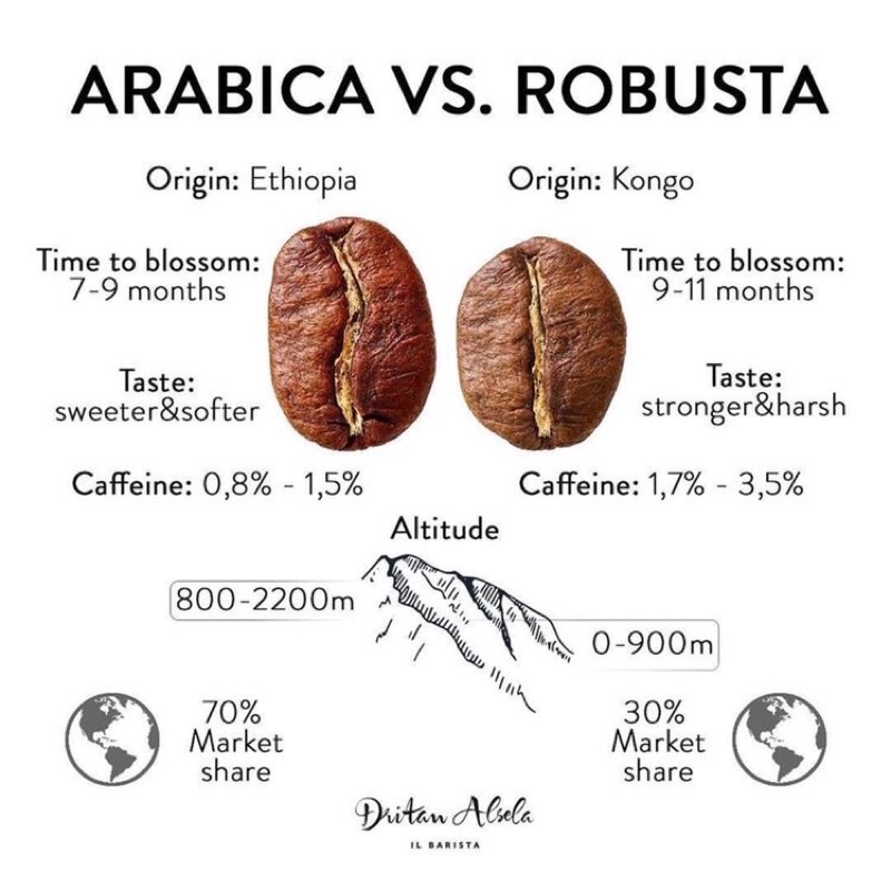 Hạt cà phê Nguyên chất Arabica | BigBuy360 - bigbuy360.vn