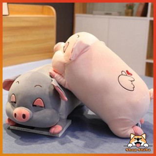 Gấu Bông Heo Lười Mắt Híp Size 70cm -