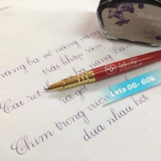 Bút mài kim tinh LeTa 006