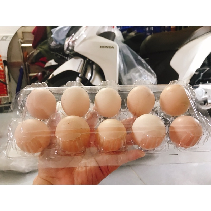 COMBO 1 VỈ TRỨNG GÀ TA CON SO ( 10 TRỨNG )