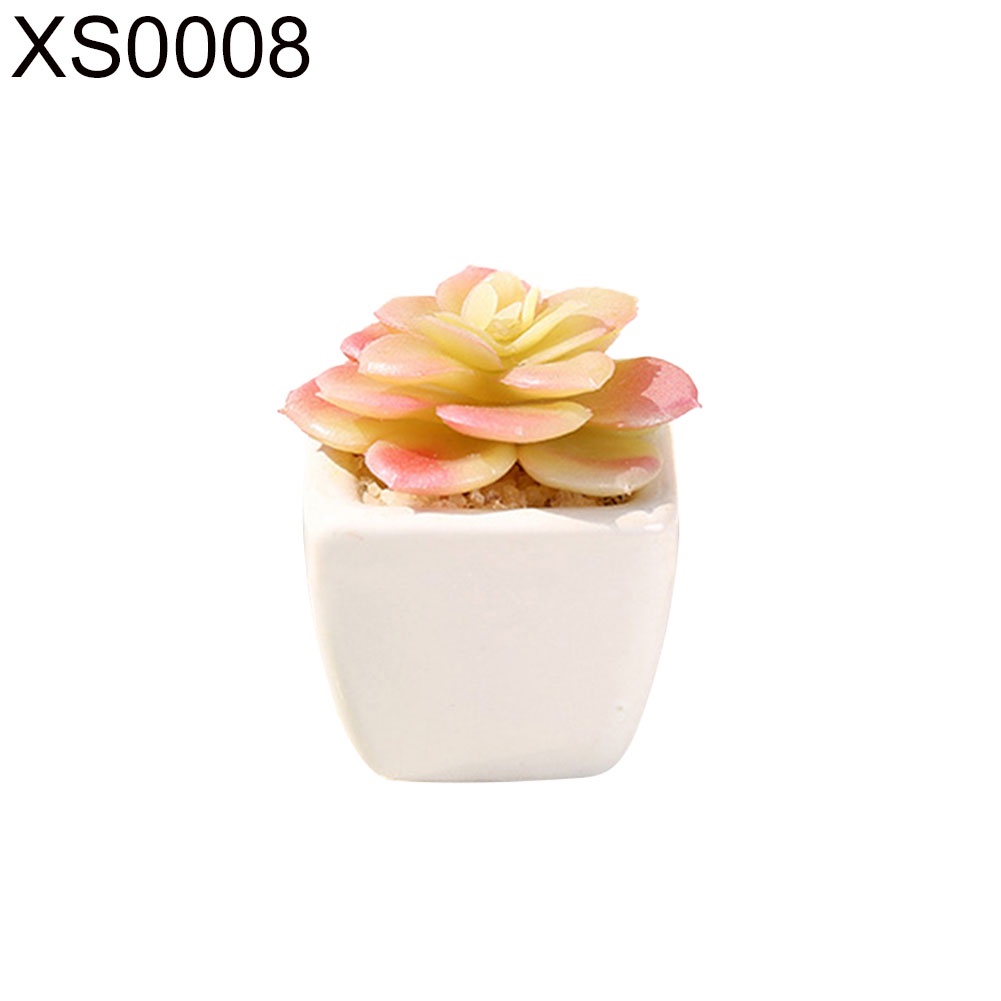 Chậu Cây Bonsai Giả Để Bàn Trang Trí Văn Phòng / Ban Công