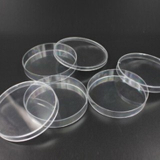 Đĩa petri thủy tinh Phi 9cm