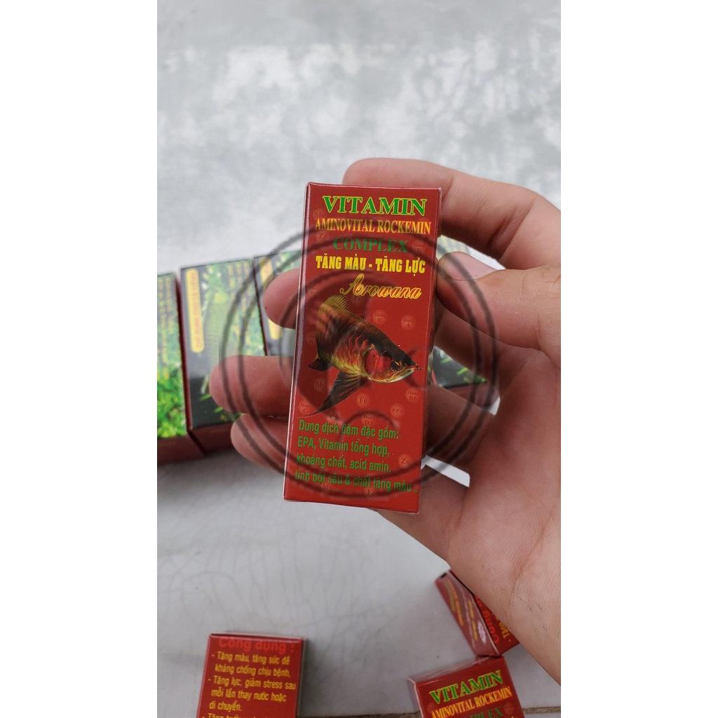 Vitamin cho cá rồng