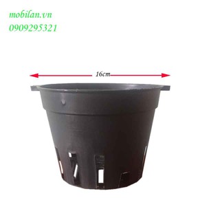 Chậu nhựa trồng lan phi 16 (combo 10 chậu)