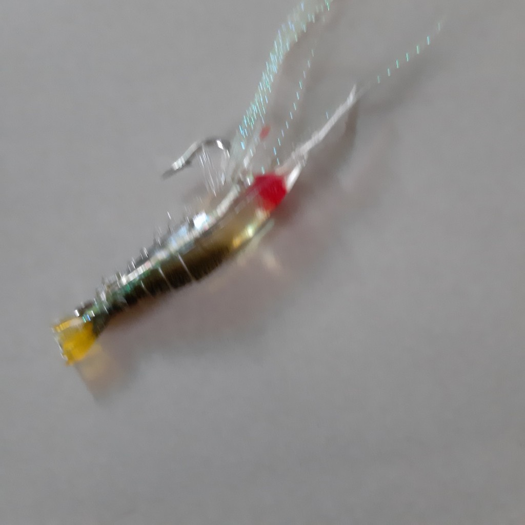 Mồi tôm câu cá