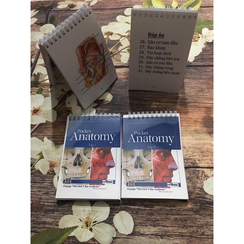 Pocket anatomy ( hàng chính hãng)