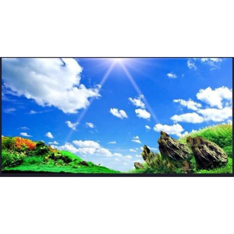 Tranh 3D dán bể cá ( kt 50-60-70-80-90-100-120-130-150cm...)
