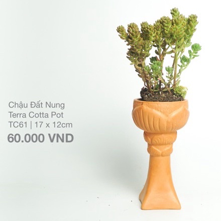 Chậu Trồng Cây - TC61