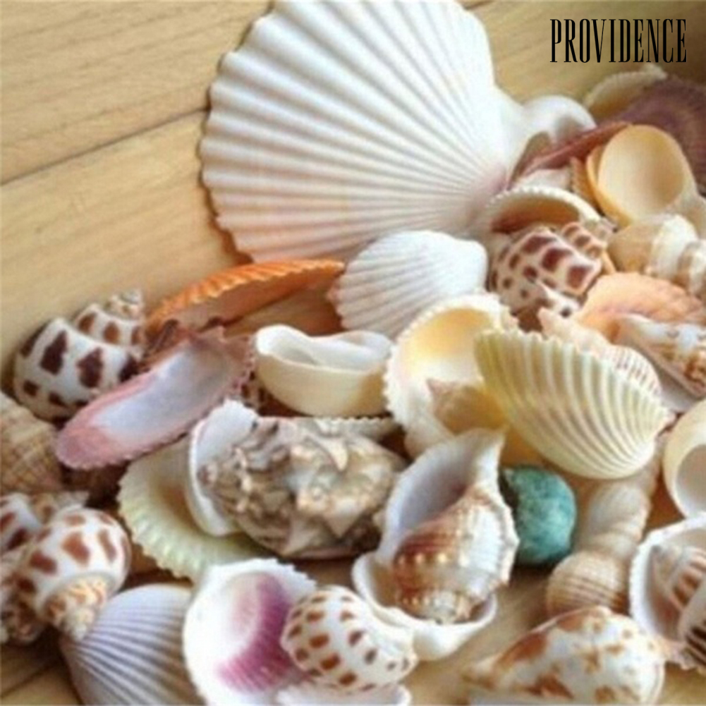 1 Túi 100g Vỏ Sò Sao Biển Dùng Để Trang Trí Bể Cá / Tiểu Cảnh