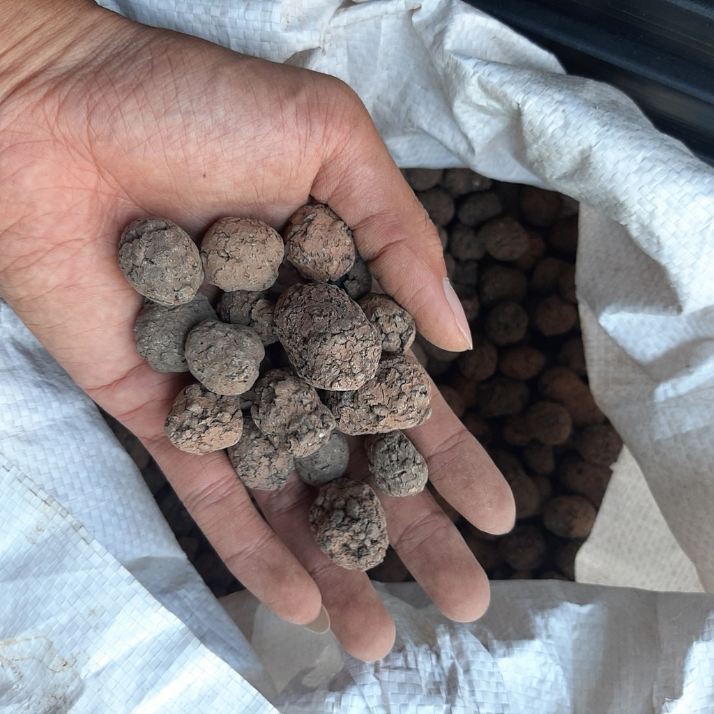 1kg Viên Đất nung, sỏi nhẹ, size lớn 10-20mm sản xuất tại việt nam, đá bọt