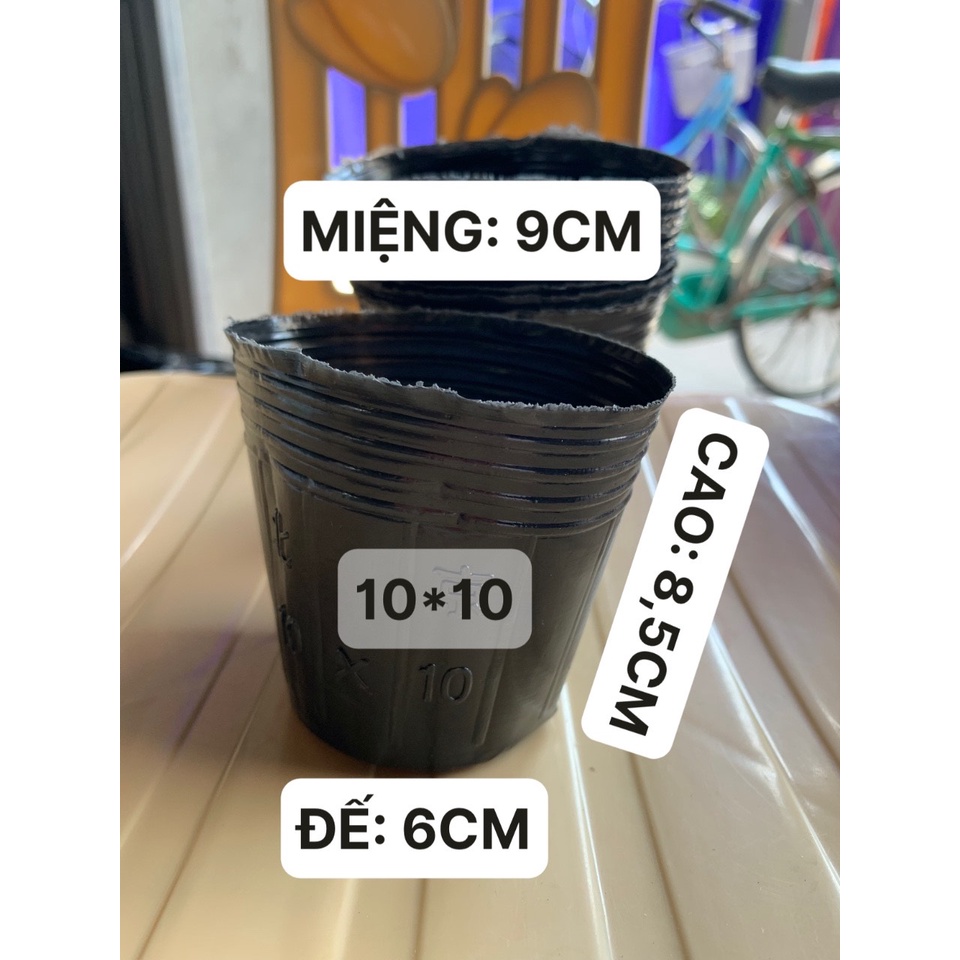 BẦU ƯƠM CÂY 10*10 ( DỊCH TRUYỀN CHO CÂY, KÍCH RỄ , MẦM CÂY XANH LÁ, LƯỚI CHE NẮNG...)