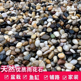 9.24✁Đá cuội tự nhiên trang trí bể cá