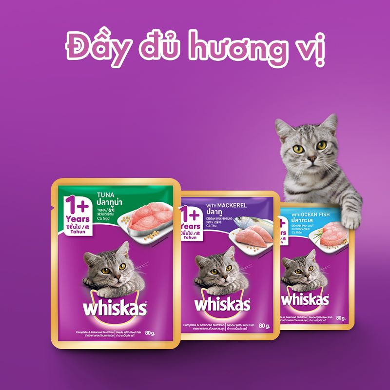 WHISKAS Pate dạng sốt dành cho mèo trên 12 tháng tuổi gói 85g