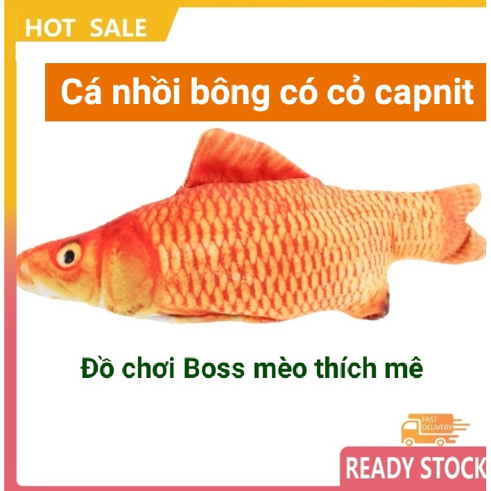 Cá nhồi bông 3D cao cấp sống động như thật có cỏ capnit khiến mèo thích mê [Đồ chơi cho mèo]