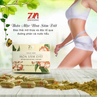 TRÀ THẢO MỘC HOA SÂM ĐẤT