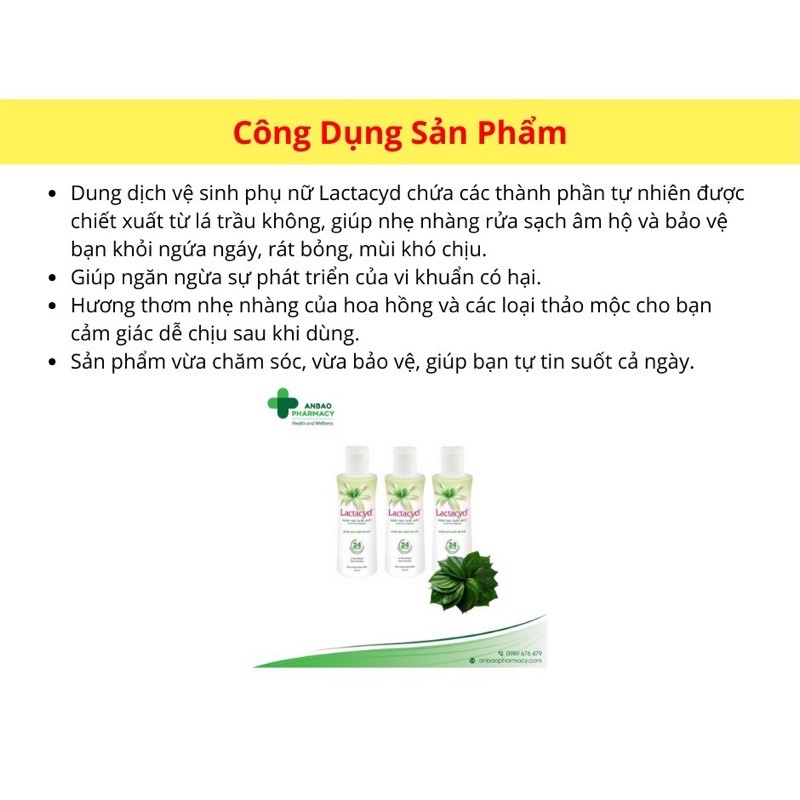 Dung dịch vệ sinh phụ nữ Lactacyd ngày dài tươi mát mát tính chất lá trầu không và nước hoa hồng