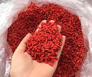 KỶ TỬ NINH HẠ LOẠI 1 100G - CÂU KỶ TỬ