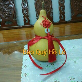 Combo 2 quả bầu hồ lô thô