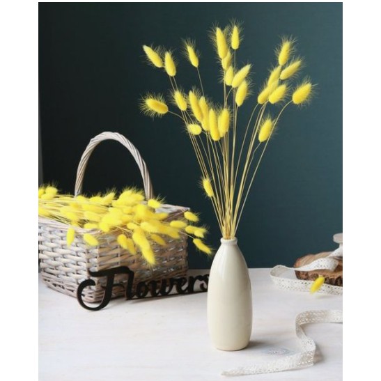 ❤Hoa cỏ đuôi thỏ (bunny tails)❤_ Decor trang trí nhà cửa_Cắm hoa phong cách vintage