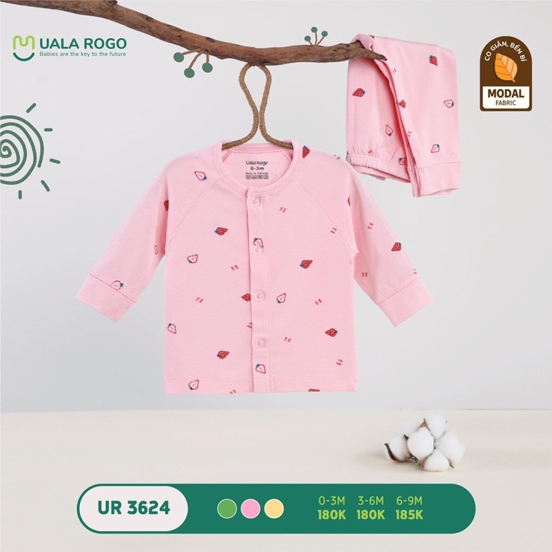 BỘ SS HOẠ TIẾT HOA QUẢ UR 3624