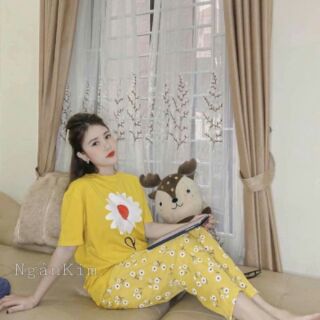 Combo cho chị Nguyễn Lệ