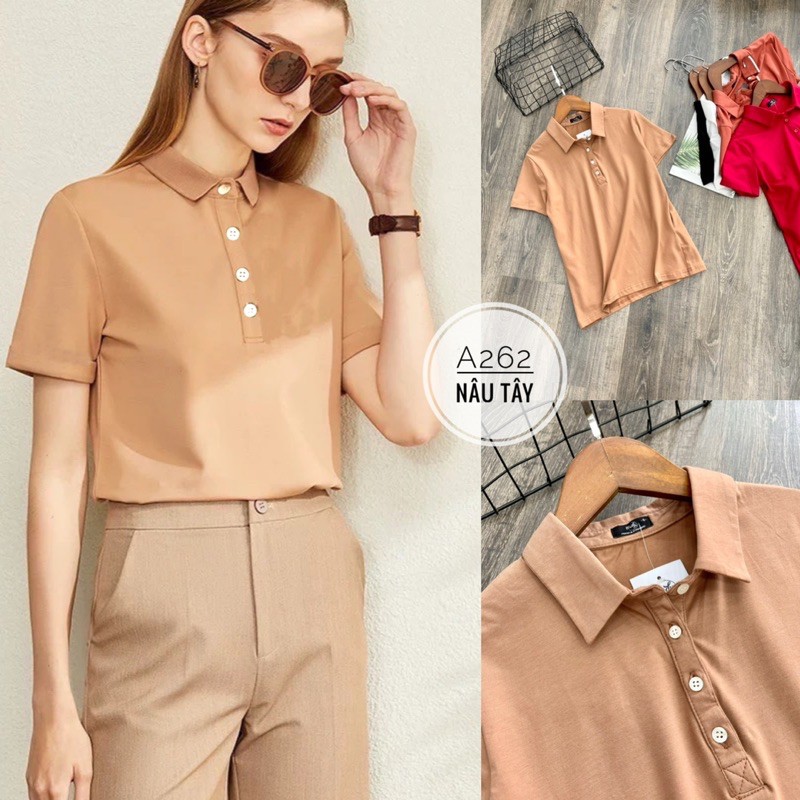 áo thun Polo t-shirt dư xịn vnxk siêu đẹp a262 | BigBuy360 - bigbuy360.vn