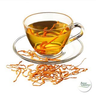 Đông trùng hạ thảo sấy khô - fg235