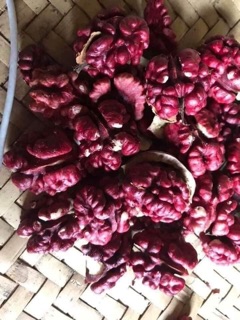 QUẢ ÓC CHÓ ĐỎ ( ÓC CHÓ MỸ )( 1kg)