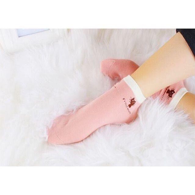 [Hot] [Hot] Set 10 Đôi Tất Chống Hôi Chân Miu Miu .. ... .. .. .. !!