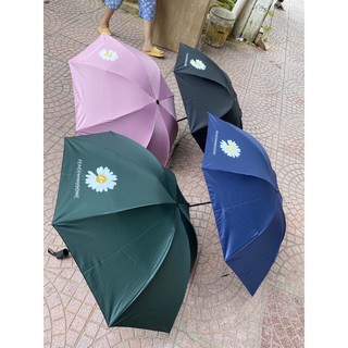 Ô hoa cúc ô dù gấp gọn bật tự động
