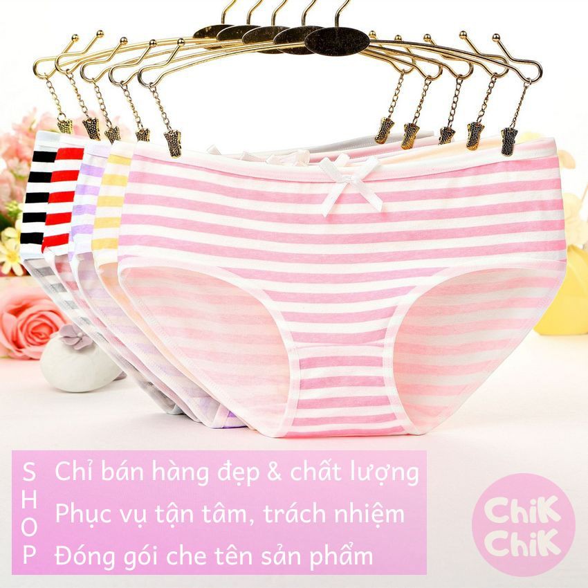 Quần lót nữ combo 5 cotton kẻ 3D co dãn 4 chiều xuất Nhật - ChikChik QL019