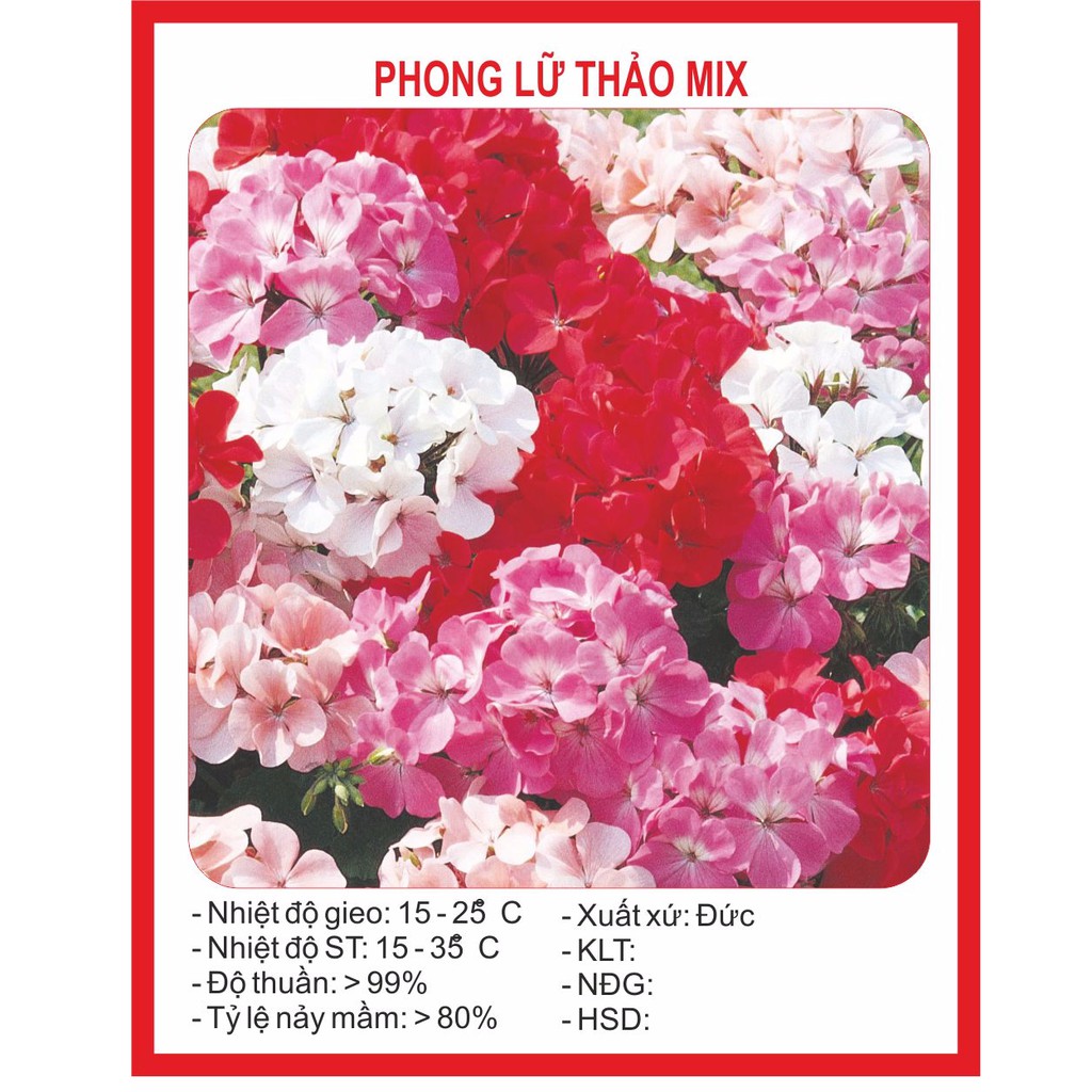 Hạt Giống Hoa Phong Lữ Mix 10 Hạt