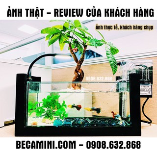 [RẺ VÔ ĐỊCH] Combo Bể Cá cảnh mini + Lọc Thác mini