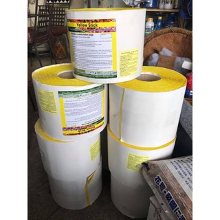 {GIÁ TẬN GỐC} KEO BẪY CÔN TRÙNG ISRAEL 2 mặt khổ rộng 19cmx1m dài