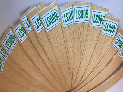 MÃ 6003T LG, CHỈ NHỰA NẸP CẠNH GỖ PVC BẢN RỘNG 21MM, 43MM, HÀNG CÓ SẴN