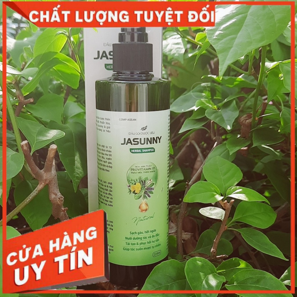 Dầu Gội Gàu Ngứa Da Đầu Jasunny An Toàn Từ Thiên Nhiên