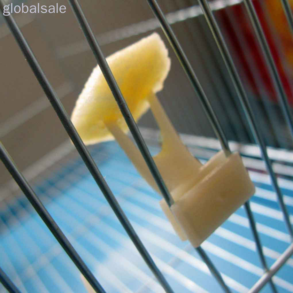 Nĩa Gắn Thức Ăn Cho Vẹt